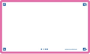 Oxford Flash 2.0, 75x125mm, 80 Blatt, blanko, fuchsia