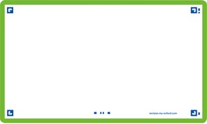 Oxford Flash 2.0, 75x125mm, 80 Blatt, blanko, grün