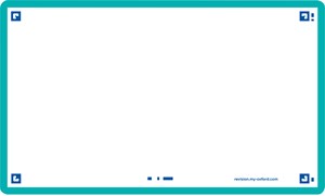 Oxford Flash 2.0, 75x125mm, 80 Blatt, blanko, mint